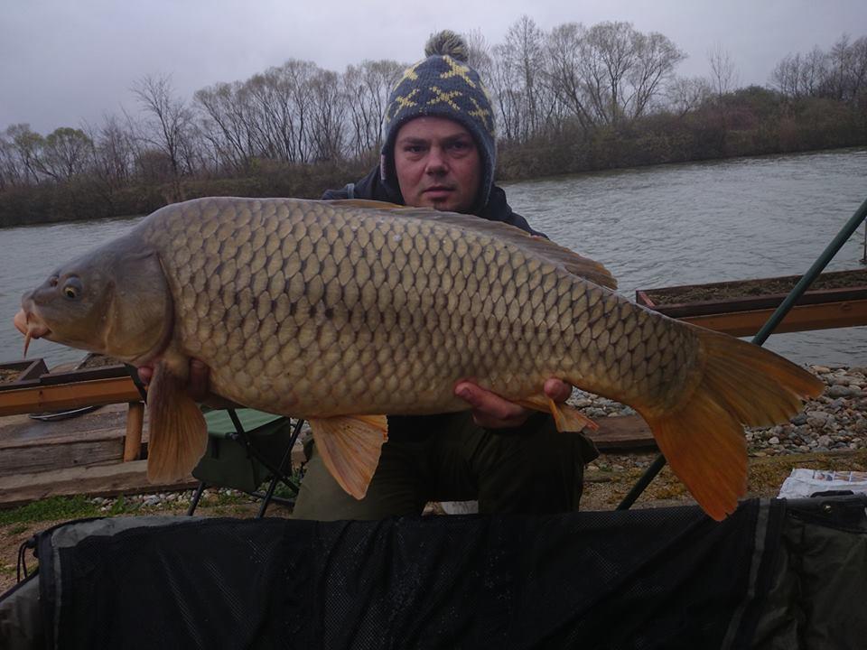 Balastiera Fughiu 27 - 29 martie 2015 - 110796608039139096763652566676294890520031n.jpg